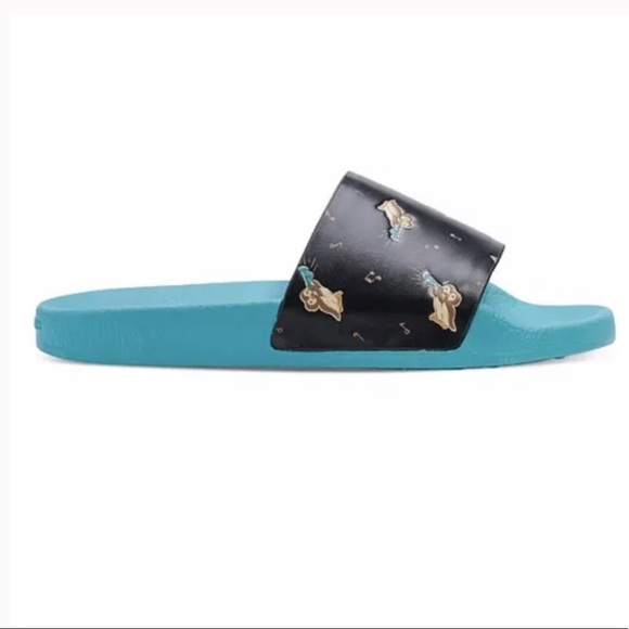 Coach slides - Picture 6 of 6